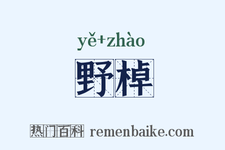 野棹是什么意思的图片